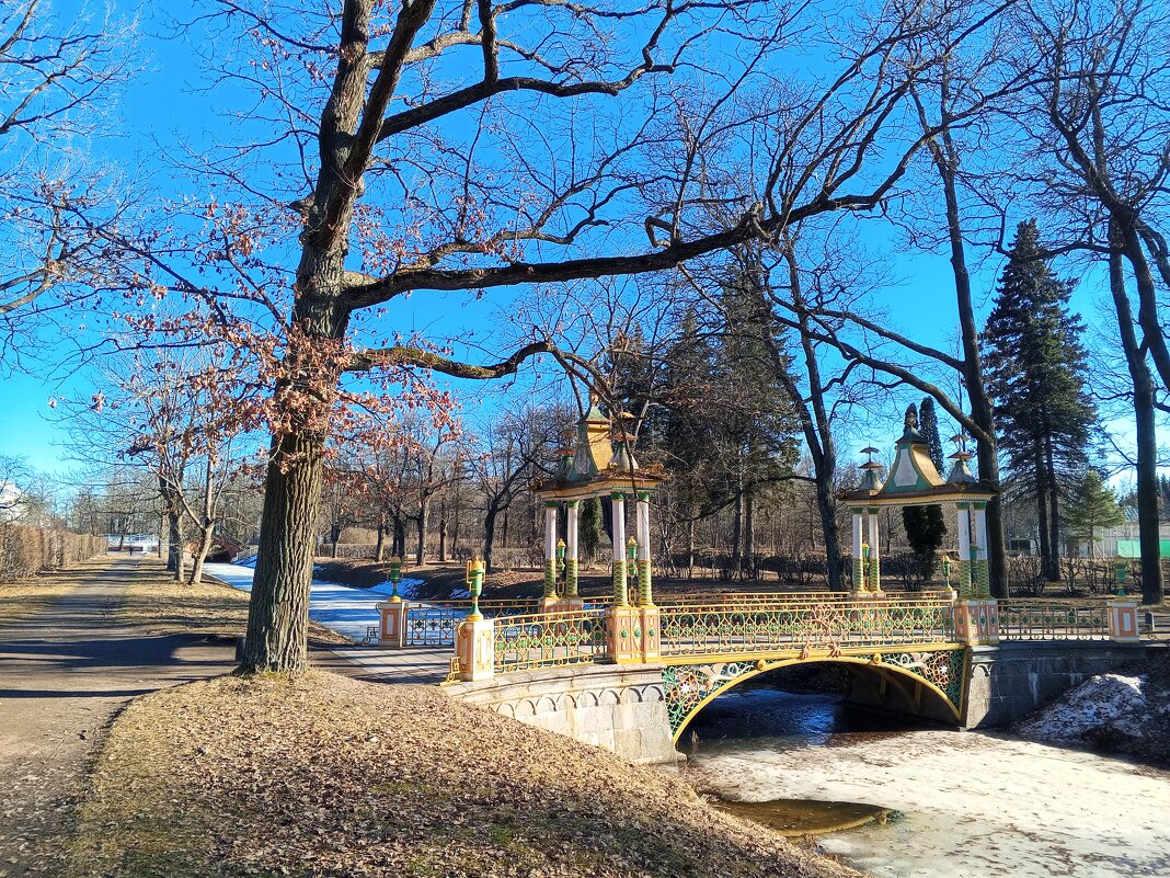 Весна - Сапсан 