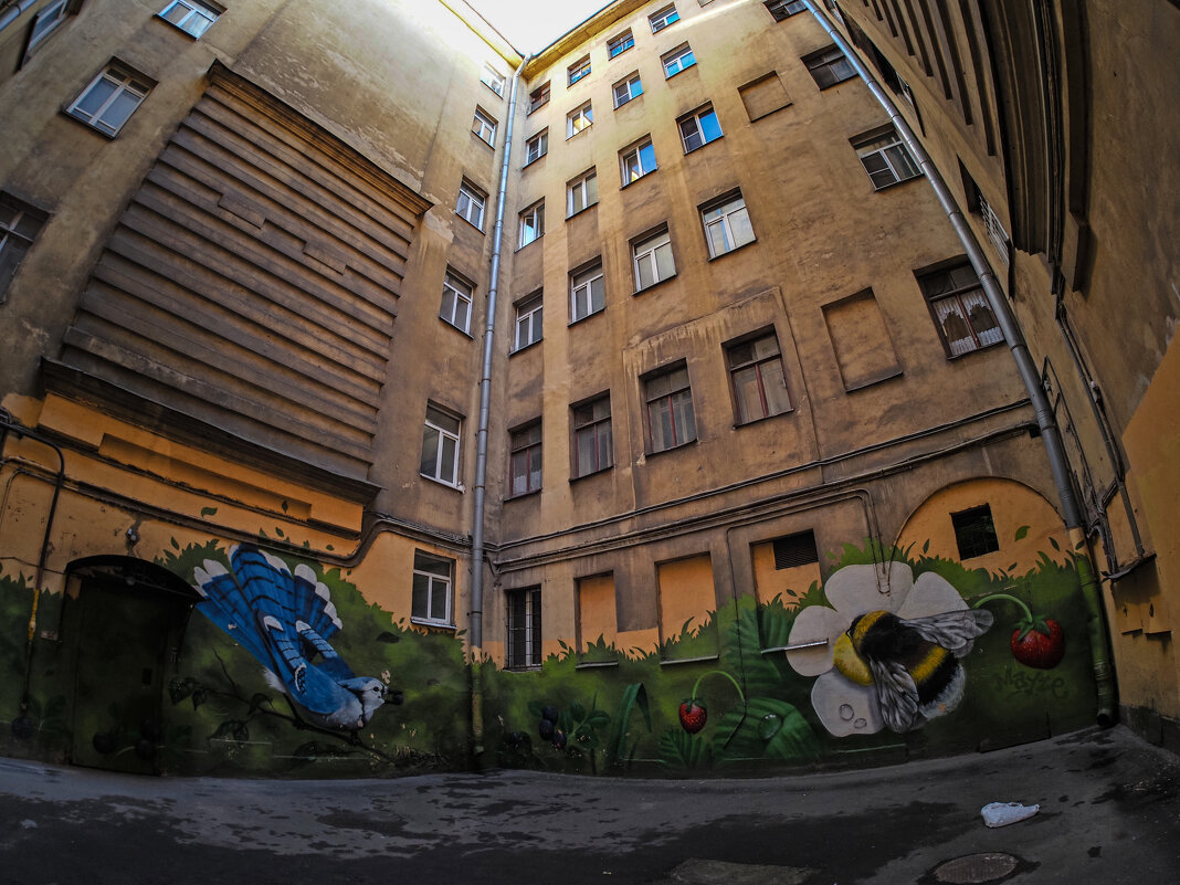 Дворы, дворики - Магомед . Дворы, дворики - Магомед .