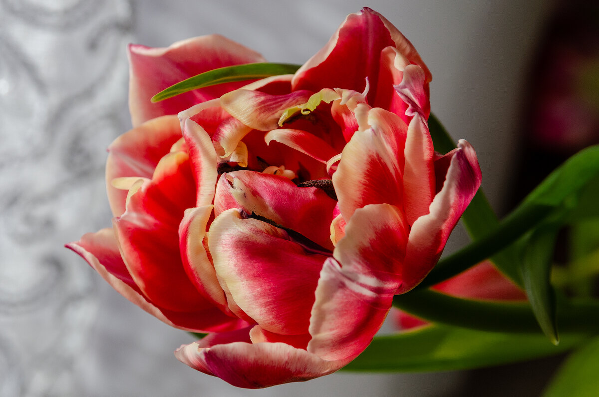 *** - Виктор Иванович Чернюк *** - Виктор Иванович Чернюк