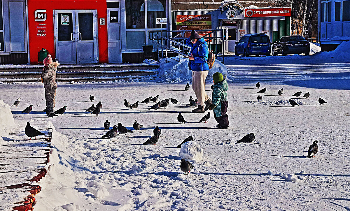 Март...Голубиное место! - Владимир 