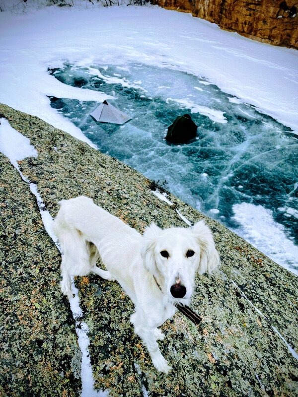 Друг - Георгиевич 