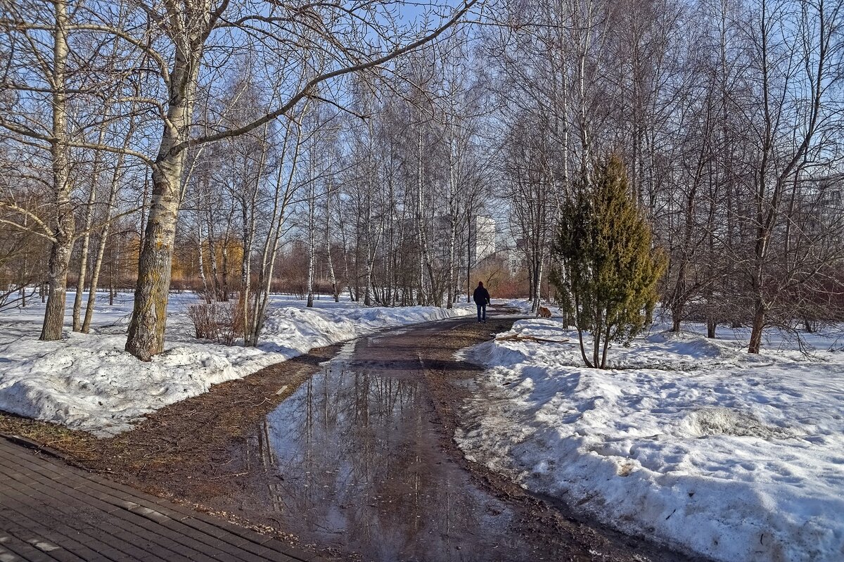 В парке лужи - Валерий Иванович