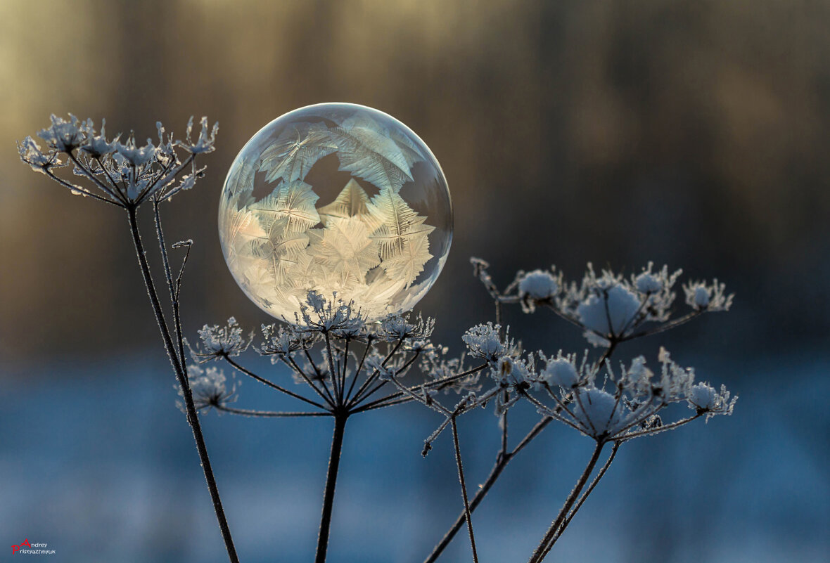 Пузырик - Андрей Пристяжнюк
