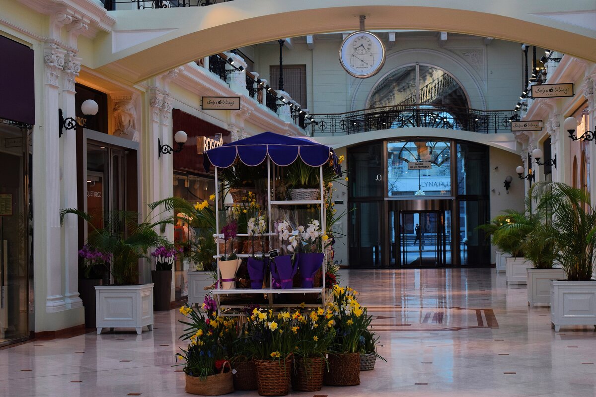 Весна в Петровском пассаже. - Татьяна Помогалова Весна в Петровском пассаже. - Татьяна Помогалова