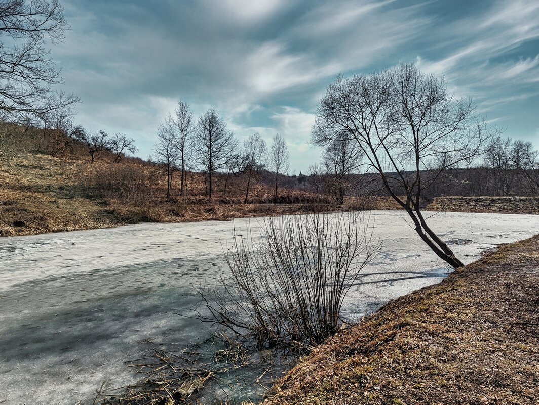 Весенние мотивы ... - Ravile 