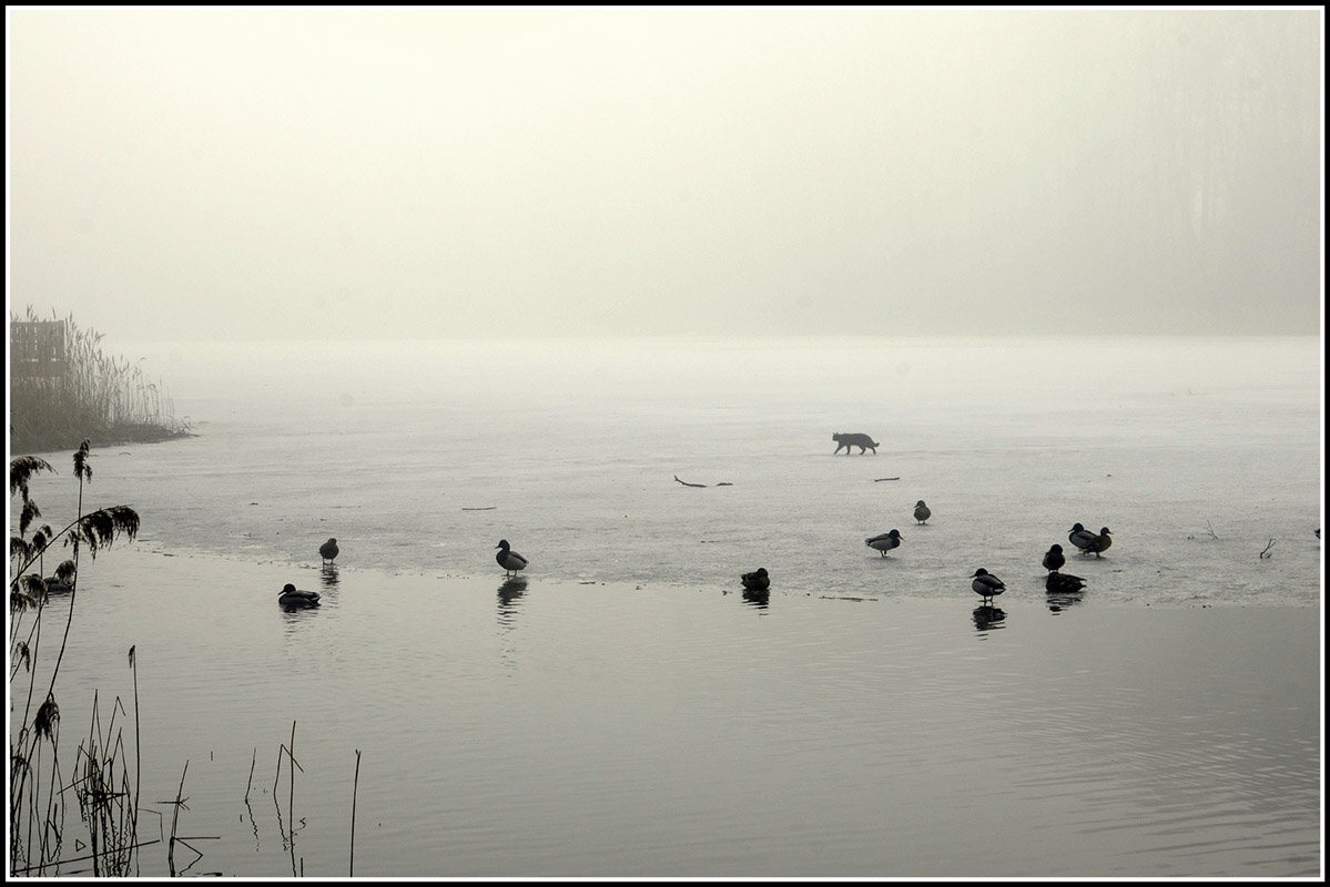 Идет охота - Aleksandr Gal Идет охота - Aleksandr Gal