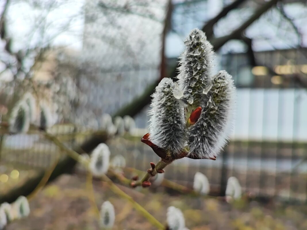 ,,, - Сергей Тимоновский ,,, - Сергей Тимоновский