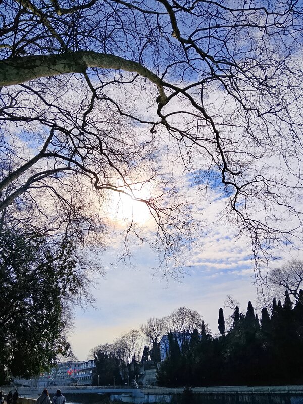 Март - Tata Wolf