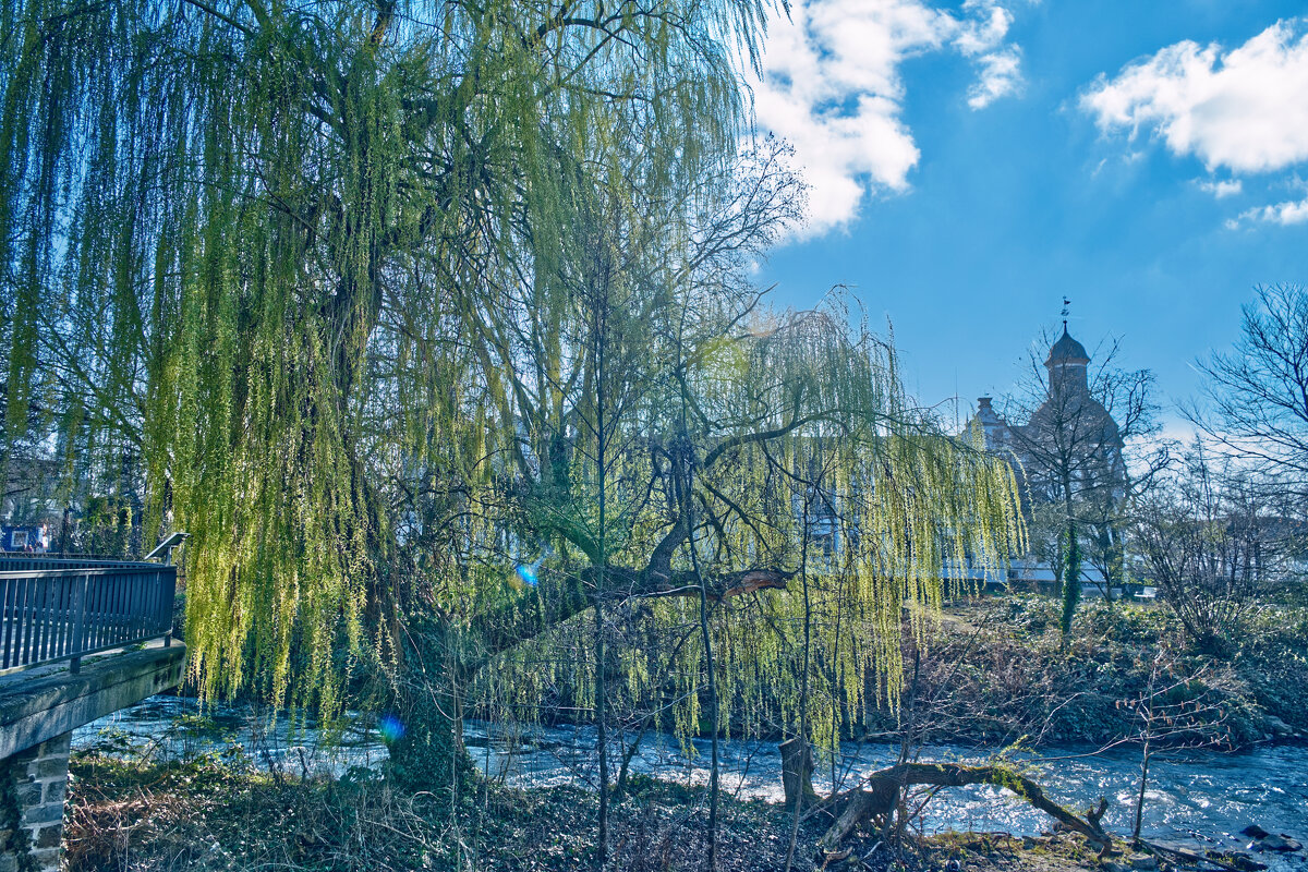 Плакучая ива - Jakob Dick Плакучая ива - Jakob Dick