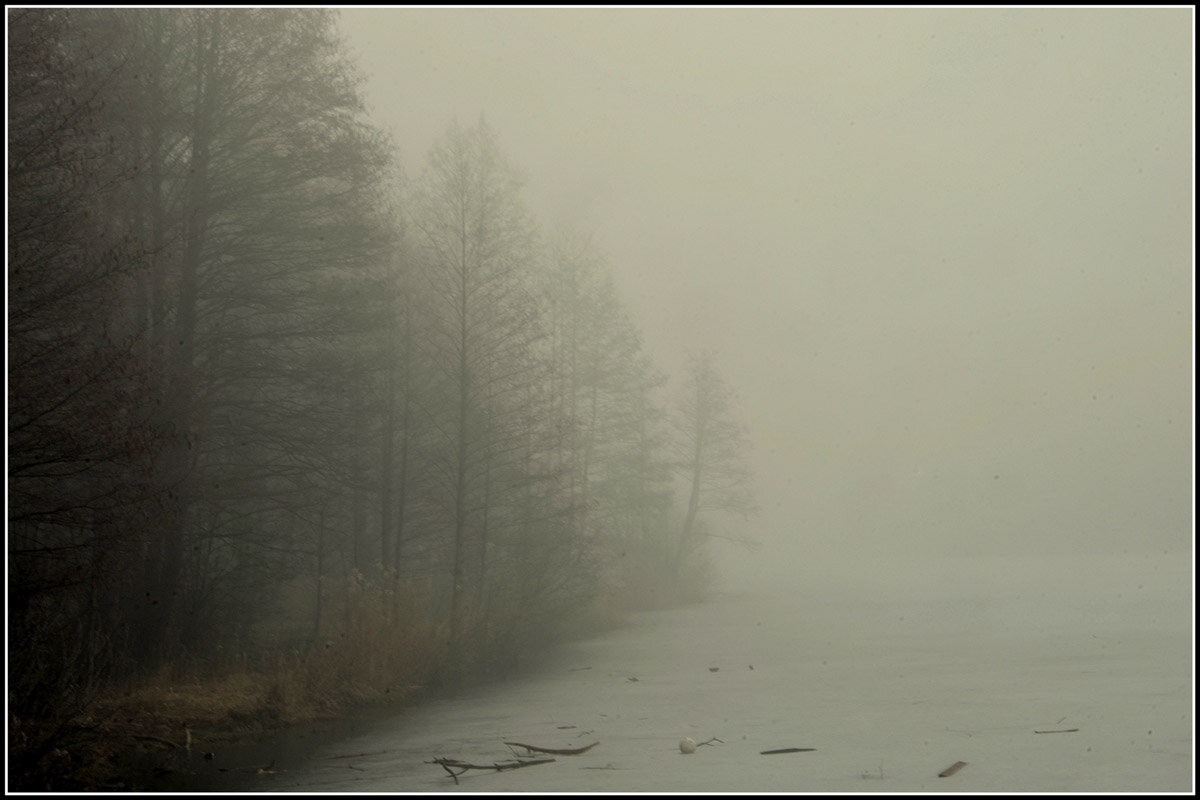Пришел туман... - Aleksandr Gal Пришел туман... - Aleksandr Gal