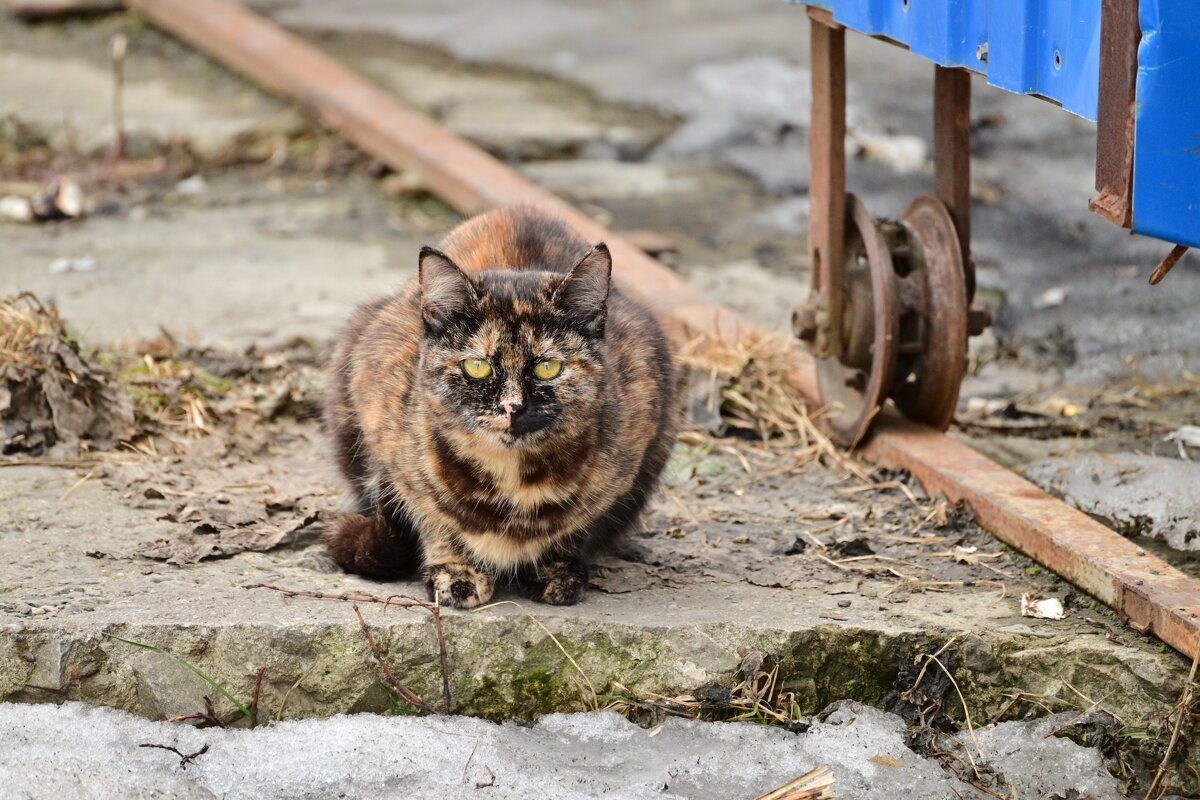 Взгляд на город сквозь объектив - Владислав Левашов Взгляд на город сквозь объектив - Владислав Левашов