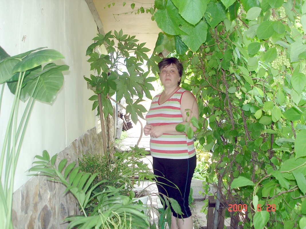 мой маленький сад - Наталья Штанулина мой маленький сад - Наталья Штанулина