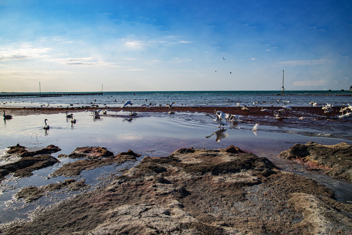 Каспий - Анатолий Чикчирный
