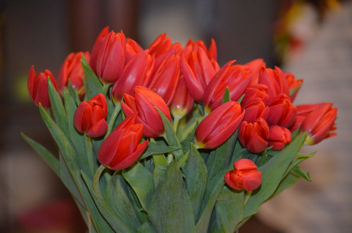 «Никто не знает, как правильно» - Таня Фиалка «Никто не знает, как правильно» - Таня Фиалка