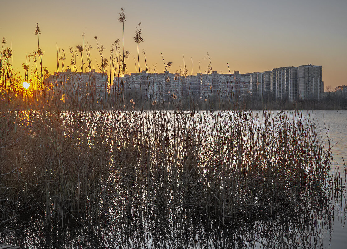 *** - Игорь Протасов