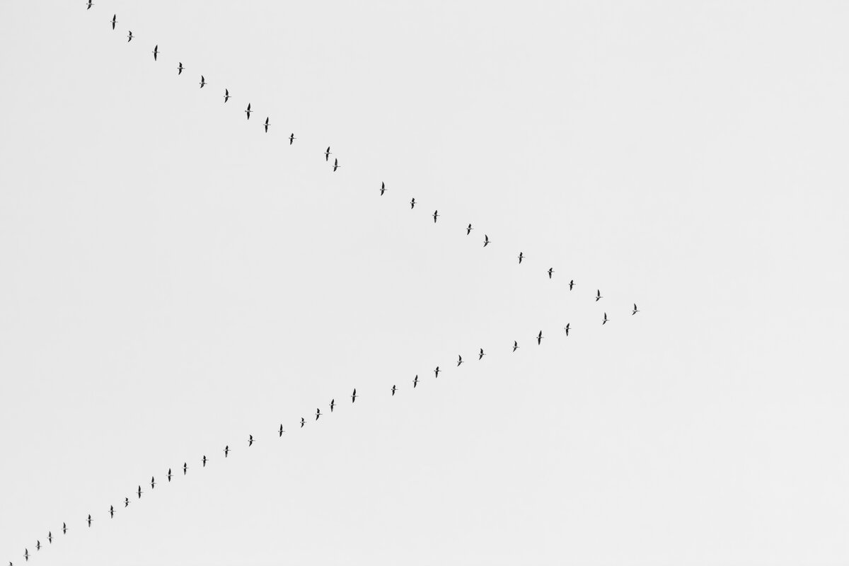 Клин - Вадим *