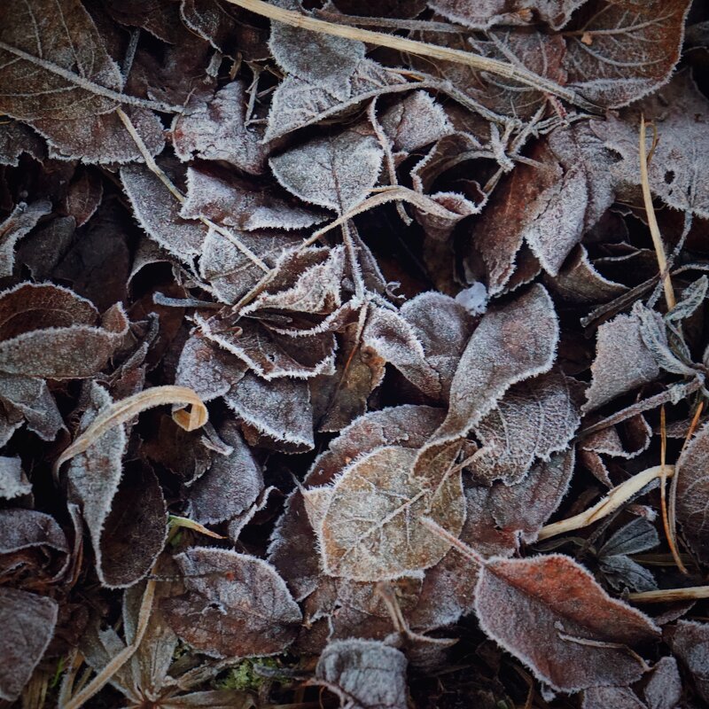 зимние сны - Андрей Литов