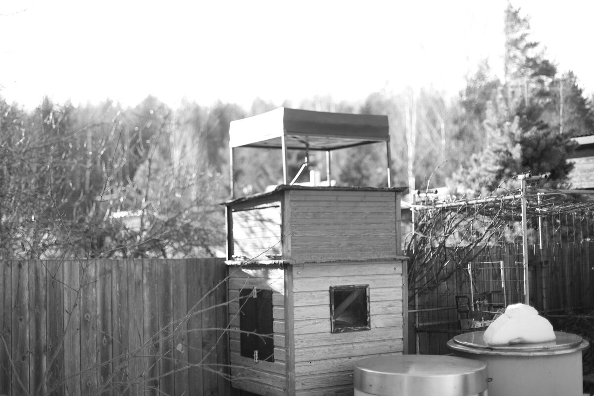 Мечты о ч/б Лейке 61. - Михаил Елочкин