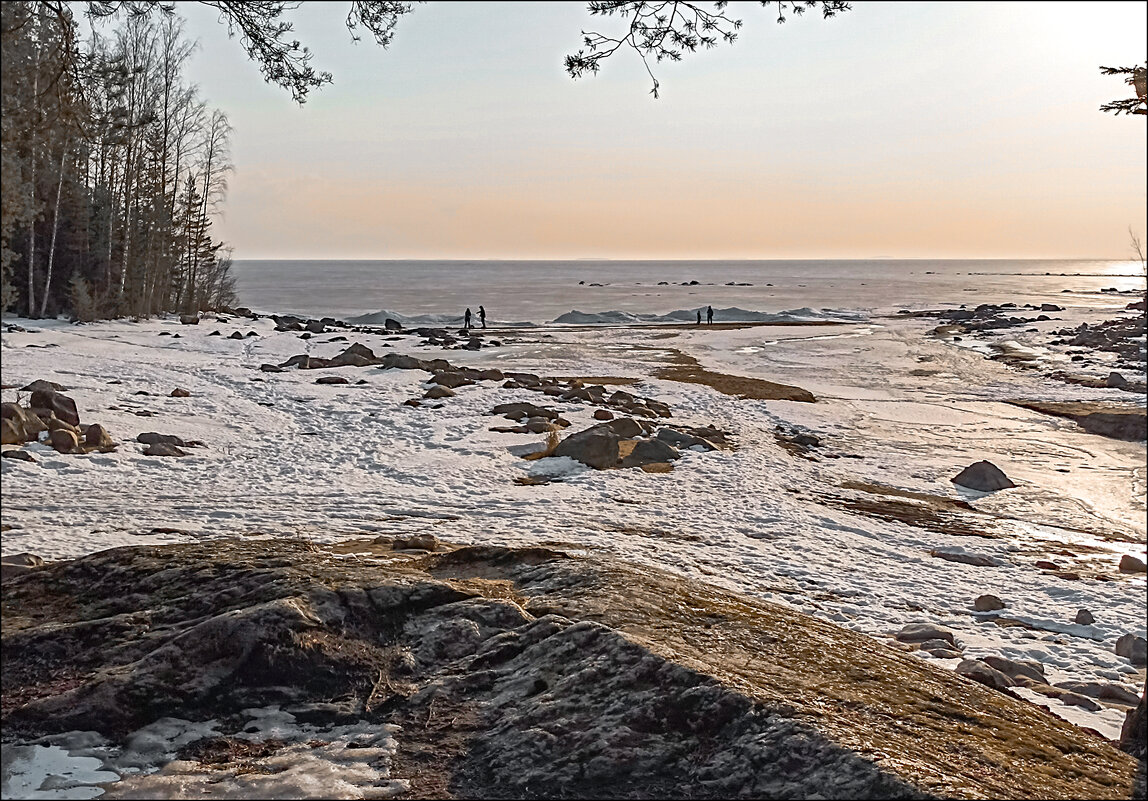 Весна - Андрей Бобин Весна - Андрей Бобин