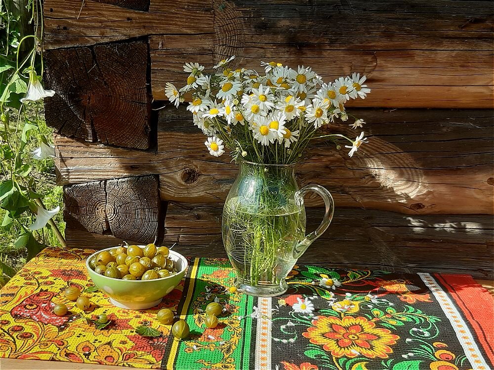 Деревенское лето! - Нина Андронова