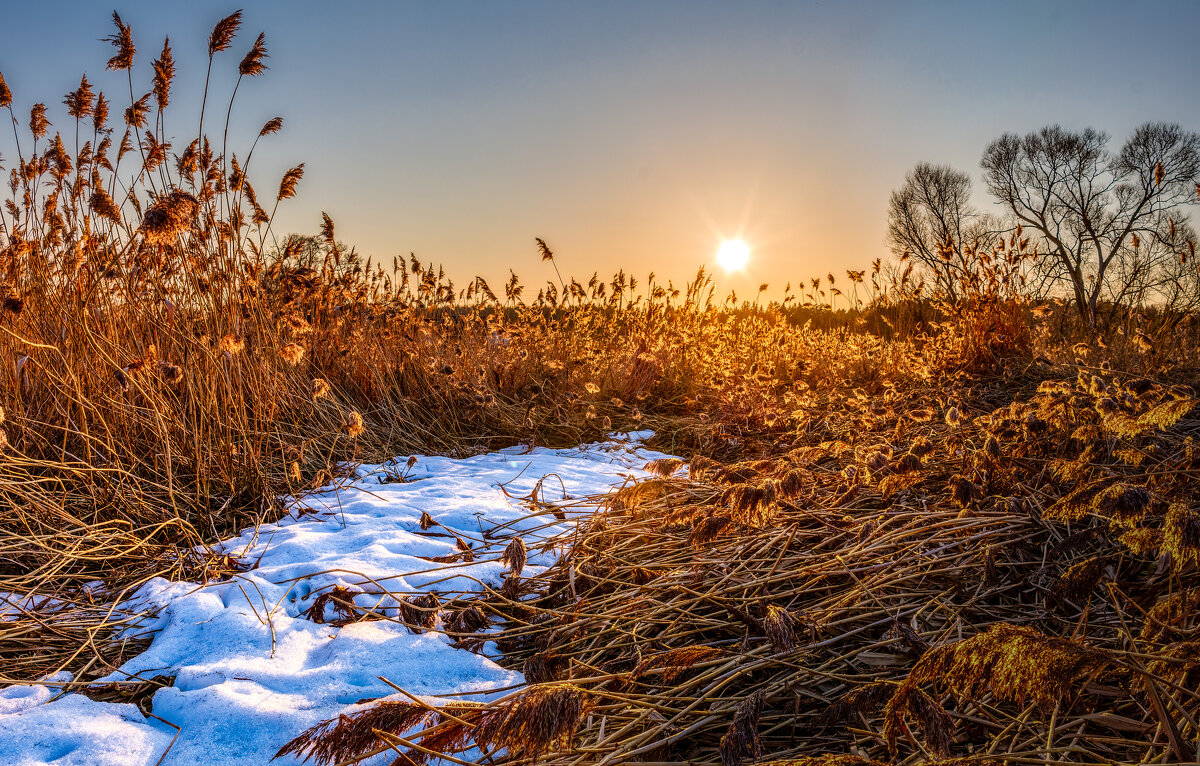 Тропинка уходящей зимы - Григорий П Тропинка уходящей зимы - Григорий П