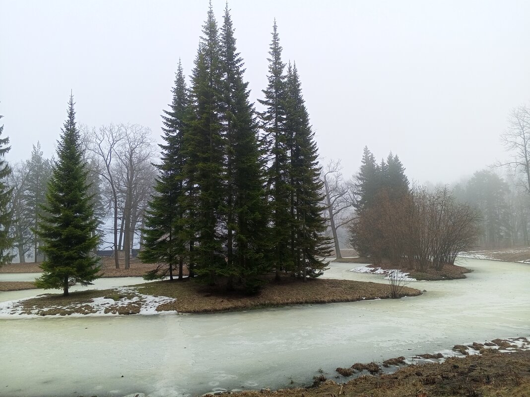 Туман - Сапсан Туман - Сапсан