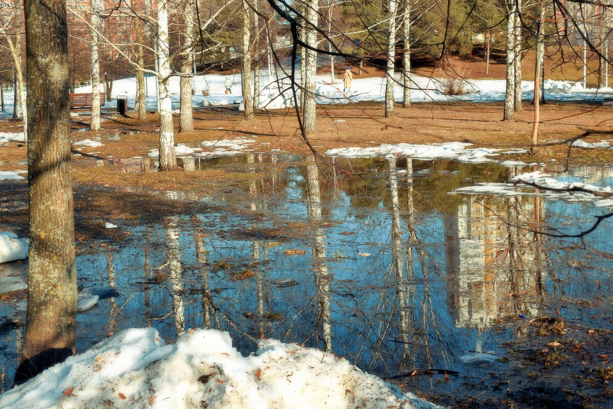 Природа просыпается, ликуя. - Татьяна Помогалова Природа просыпается, ликуя. - Татьяна Помогалова