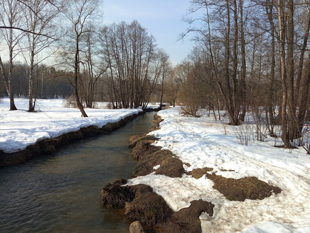 Измайловском парке - март - Андрей Лукьянов