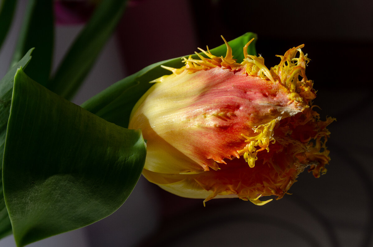 *** - Виктор Иванович Чернюк