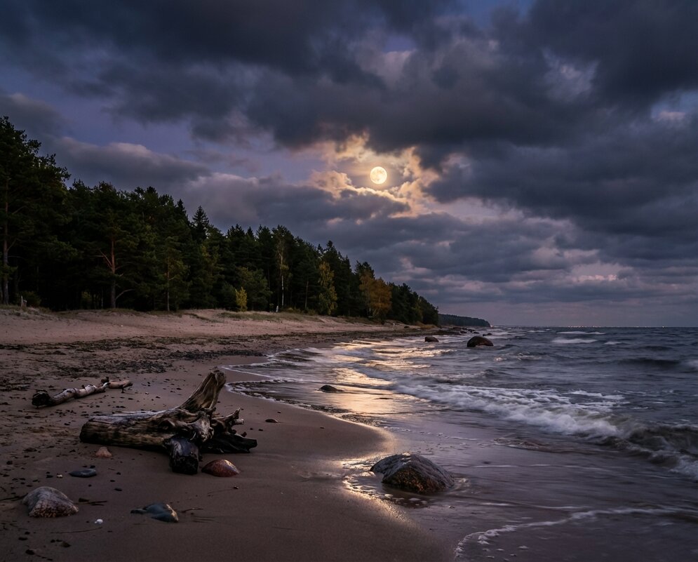 Лунная ночь на заливе - Лилия 