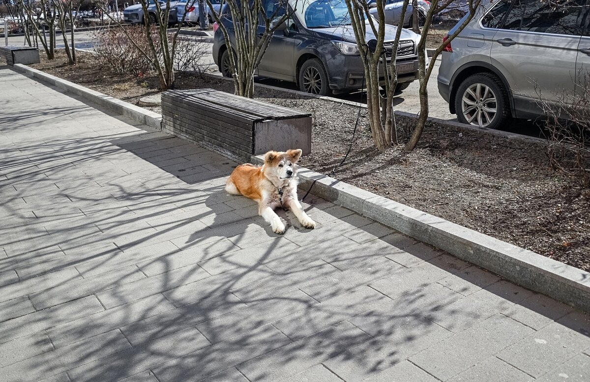 Припарковали - Валерий Иванович