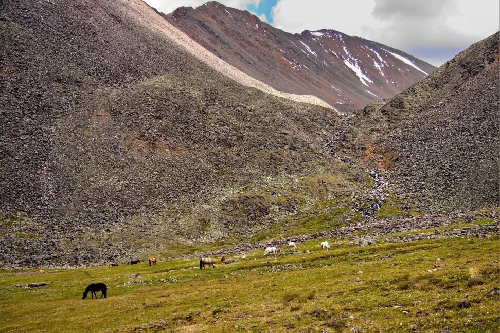 ... - Виктор Фоменко