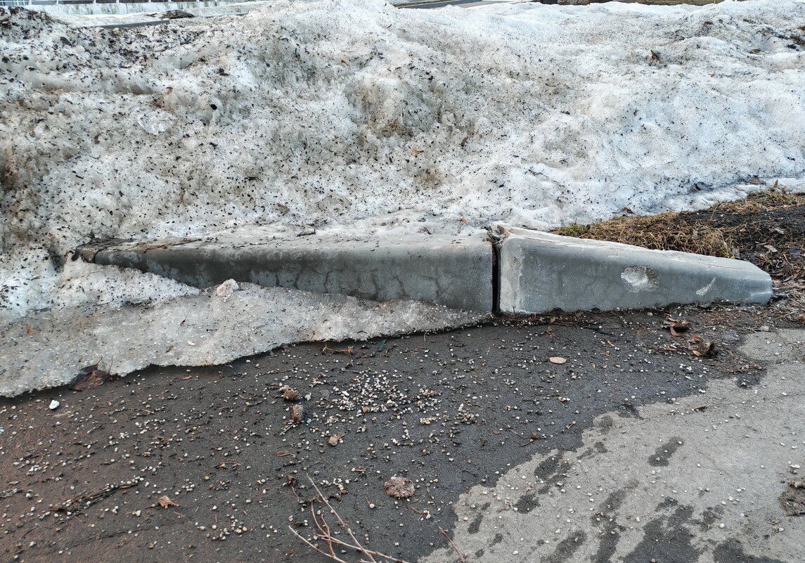 САБЛЕЗУБЫЙ БОРДЮРОПОРЕБРИК ОБЫКНОВЕННЫЙ - Юрий Вовк САБЛЕЗУБЫЙ БОРДЮРОПОРЕБРИК ОБЫКНОВЕННЫЙ - Юрий Вовк