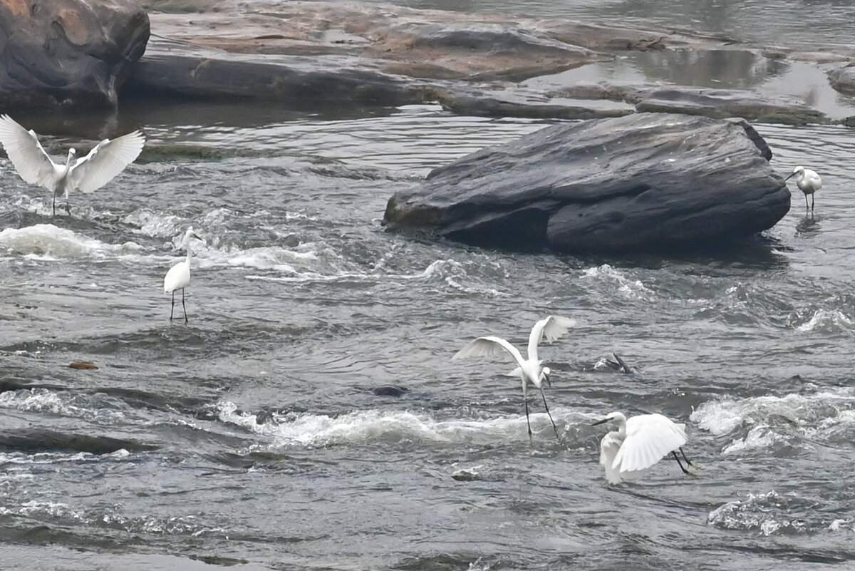 Шри-Ланка. Атмосфера. - Александр Беляков Шри-Ланка. Атмосфера. - Александр Беляков
