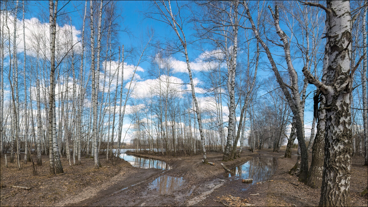 Весна - **** vedin Весна - **** vedin