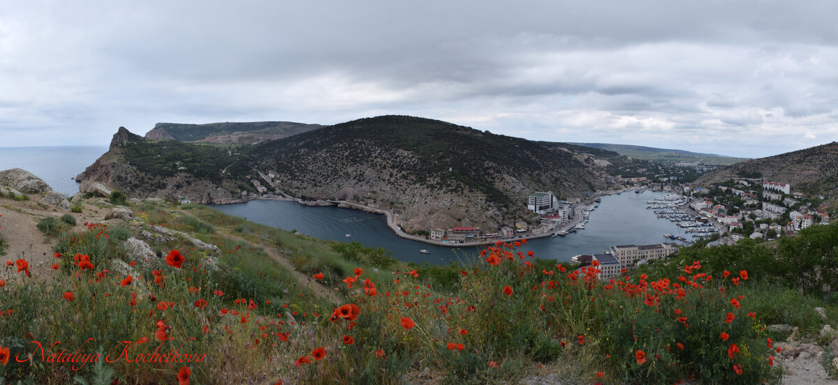 Природа Крыма - Изумительная Космея