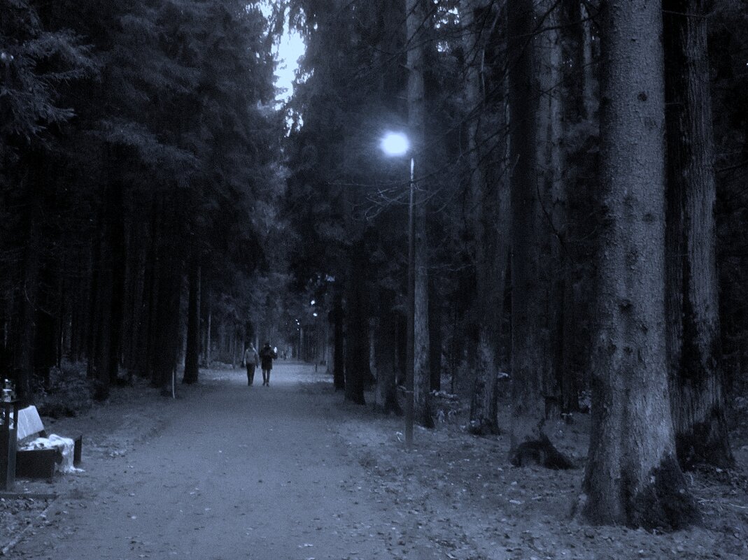 тропа - galalog galalog