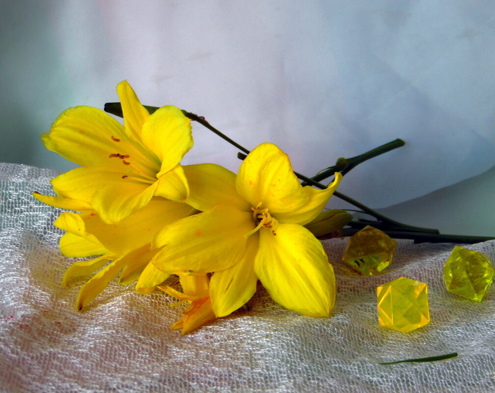 Граммофоны. - nadyasilyuk Вознюк