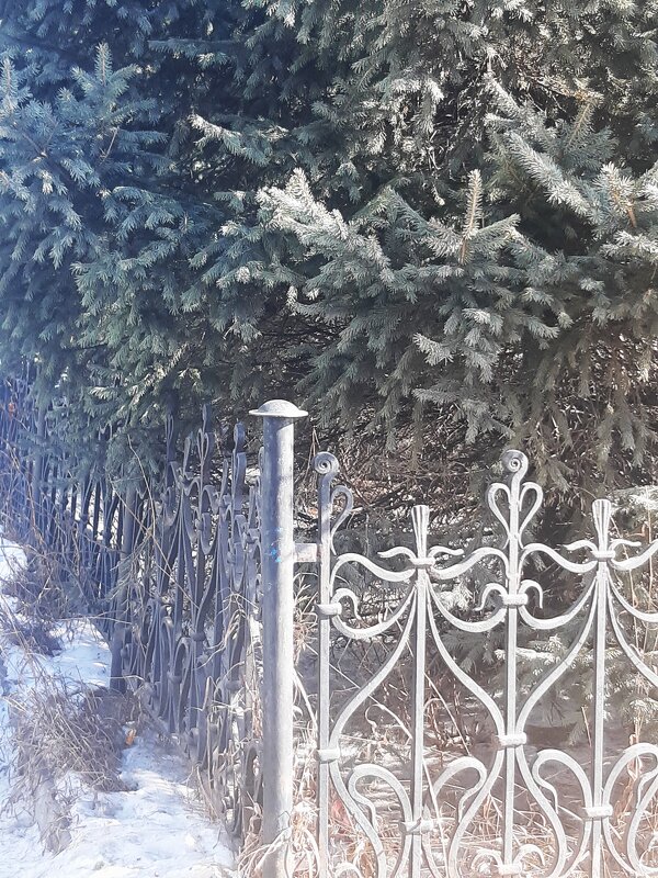 Город весной - Галина Минчук