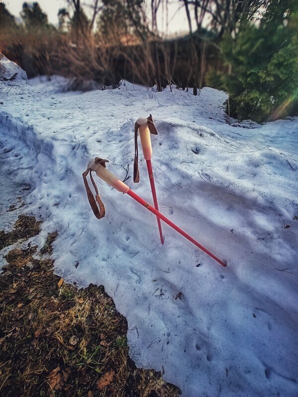 Конкурс на лучшее название! - veilins veilins