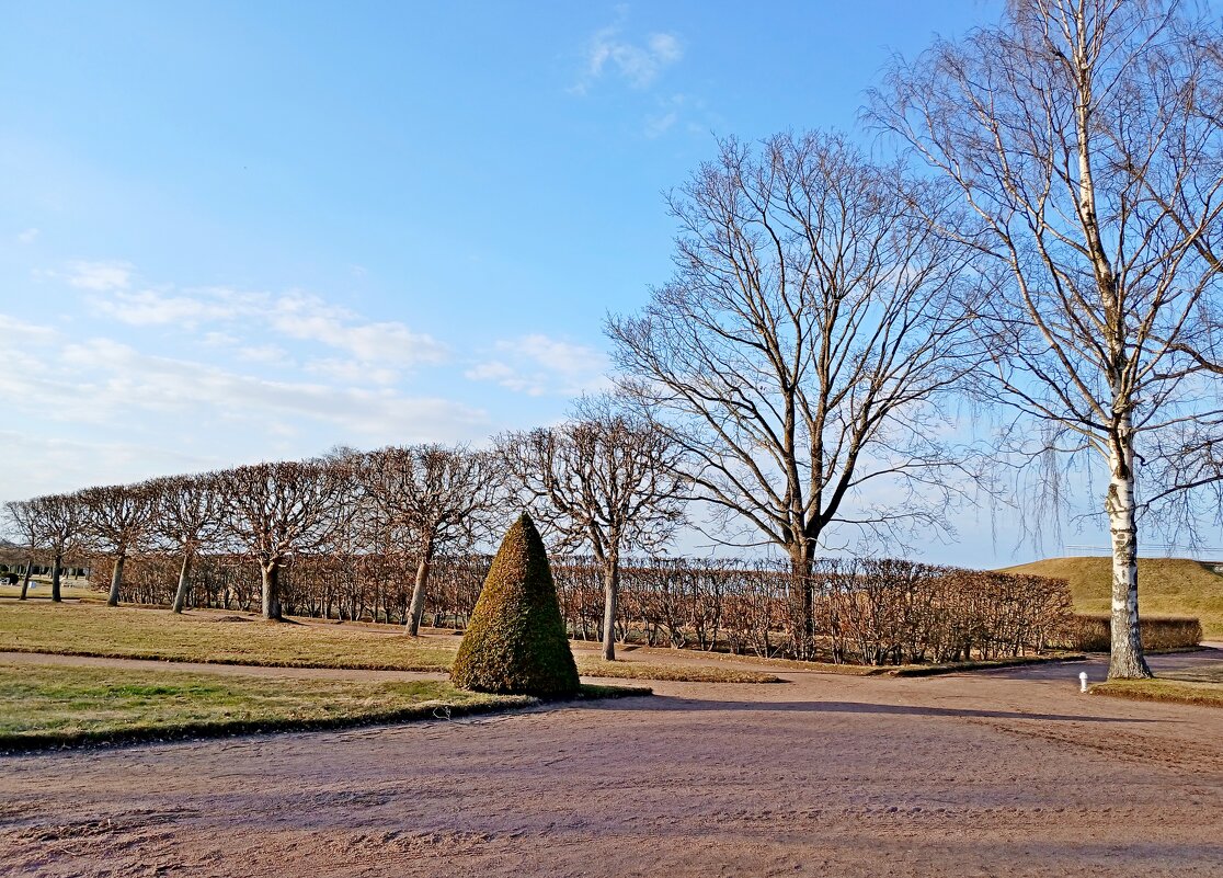 Рання весна-2026 - Лия ☼