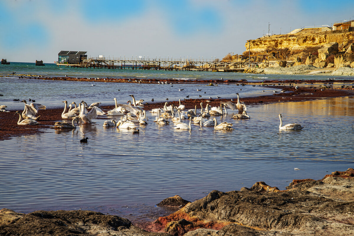 Каспий - Анатолий Чикчирный