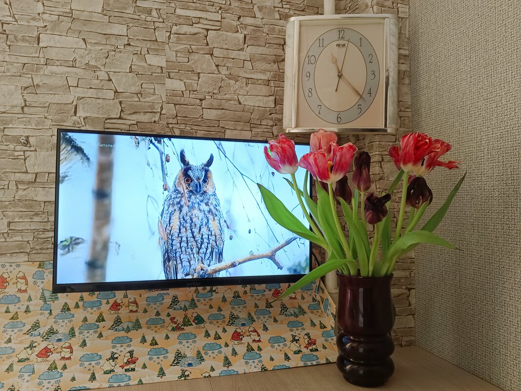 Время тюльпанов... - Мария Васильева