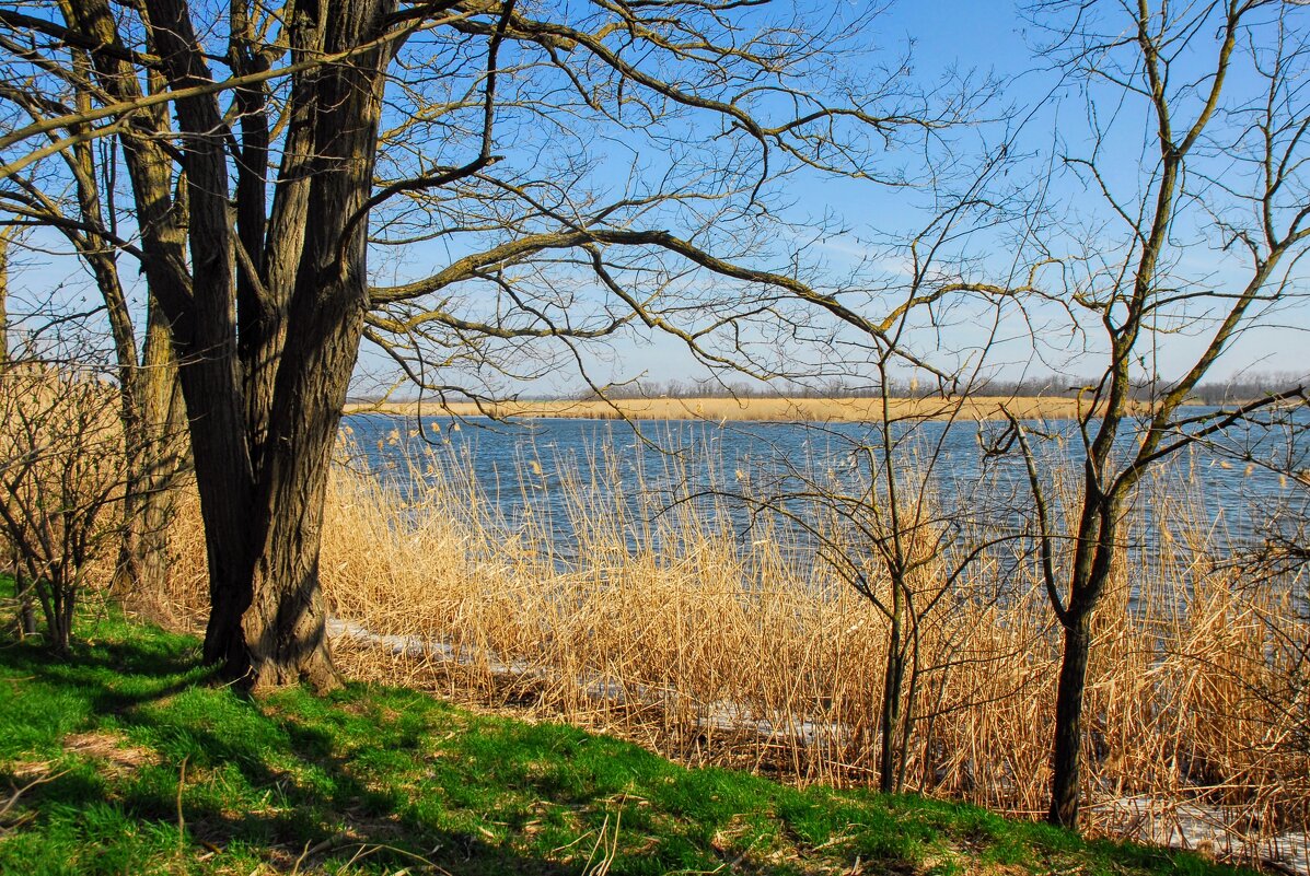 Весна. - Владимир Весна. - Владимир