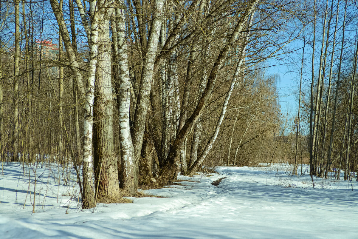 Весенние тропинки. - Николай Весенние тропинки. - Николай