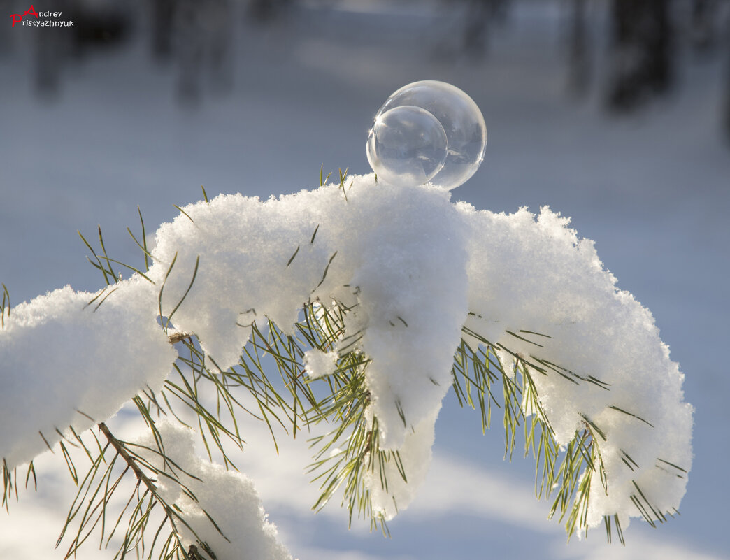 Пузырик - Андрей Пристяжнюк