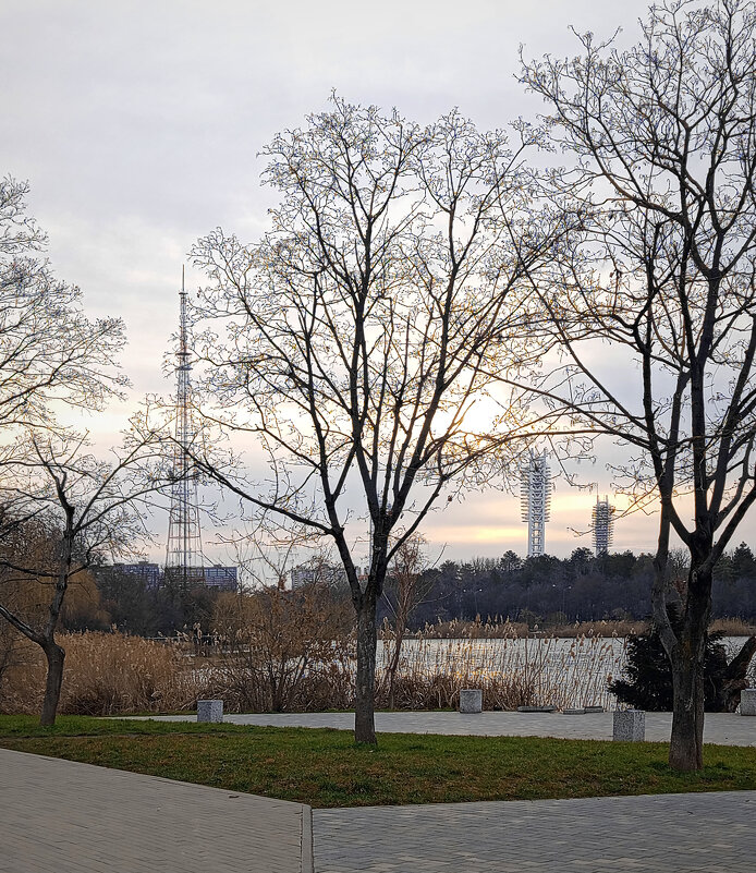 *** - Игорь Протасов