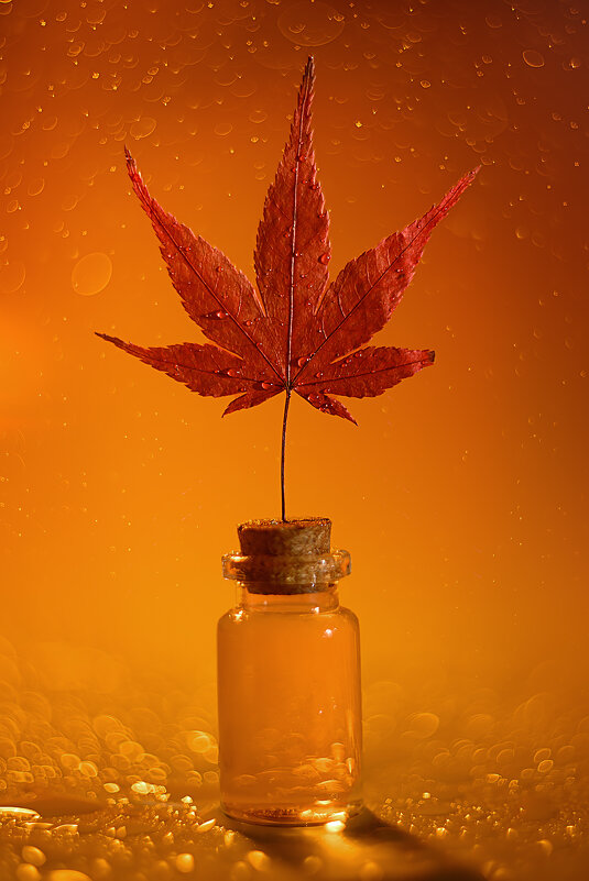 Под дождем - Кулишев Николай 