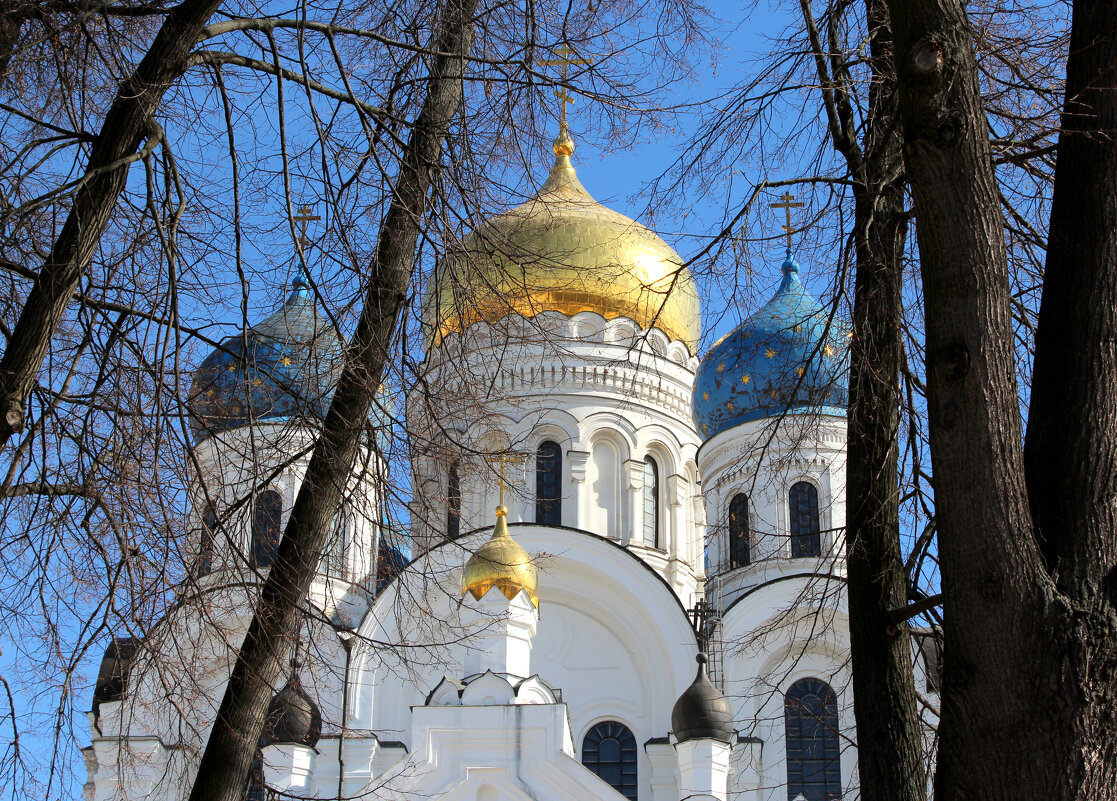 Купола Николо-Угрешского монастыря - Дмитрий Балашов