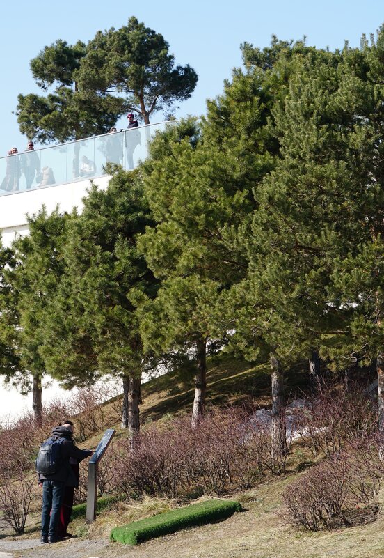 Природа - александр Природа - александр